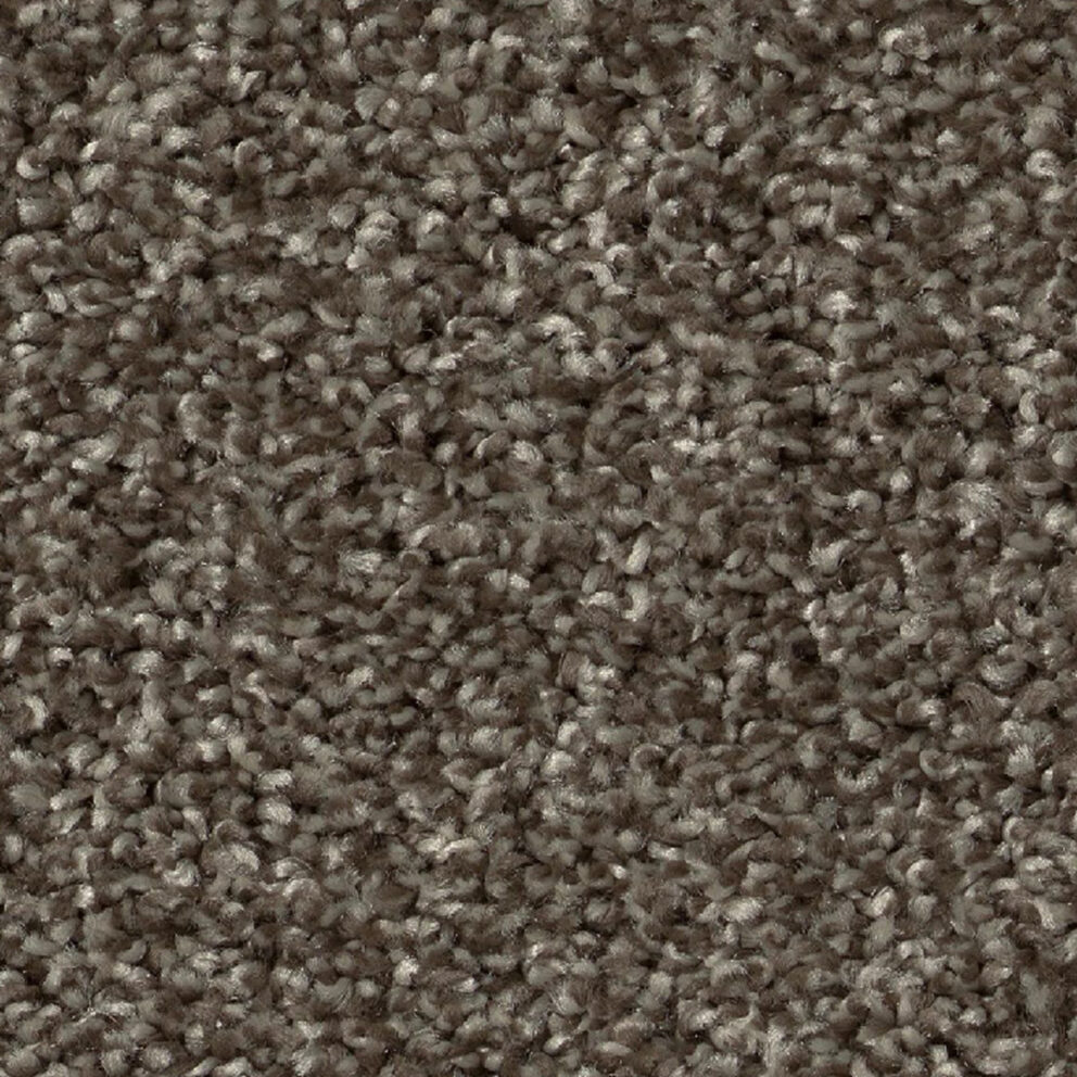 Carpet: Coffee Bean